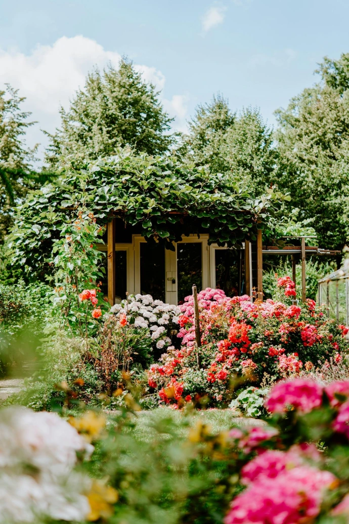 building covered with green plants and surrounded by petaled flowers
